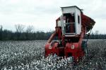 McCormick International Harvester, Cotton Harvesting, 1950s, FMNV09P02_02