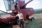 McCormick International Harvester 303, hay swather, Windrower, 1950s, FMNV09P02_03