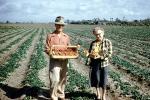 Man, Woman, Strawberry Fields, hat, pride, dirt, soil, FMNV09P02_12