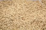 Grain of Wheat Texture, FPCV01P03_17