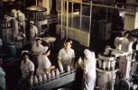 Bottling Plant, Dairy, women, workers, uniforms, FPDV01P02_17