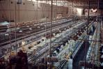 Assembly Line, Donald Duck Orange Juice Processing Plant, Lake Wales, March 1969, 1960s