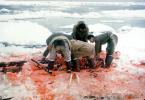 Walrus slaughter, tusk, blood on the snow, Eskimos, Alaska, FPMV01P11_02