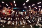 bringing in Tuna for auction at the Tsukiji Fish Market, Tokyo, FPOV01P04_19