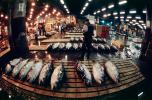 bringing in Tuna for auction at the Tsukiji Fish Market, Tokyo, FPOV01P05_06