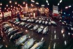 bringing in Tuna for auction at the Tsukiji Fish Market, Tokyo, FPOV01P05_10