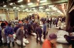 bringing in Tuna for auction at the Tsukiji Fish Market, Tokyo, FPOV01P11_19