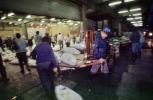 bringing in Tuna for auction at the Tsukiji Fish Market, Tokyo, FPOV01P12_02