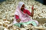 Woman, Sari, Shucking Corn, Gujarat, India, FPPV01P01_11