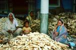 Shucking Corn, Gujarat, India, FPPV01P01_15