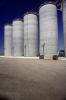 Grain Silos, Williams, California, FPPV01P09_11