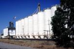Grain Silos, Willows, California, FPPV01P10_19