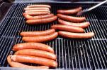 BBQ, Sausage, Hot Dog, Grill, Meat, Tubesteak, FPRV02P06_12
