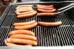 BBQ, Sausage, Hot Dog, Grill, Meat, Tubesteak, FPRV02P06_13