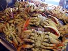 Cooked Dungeness Crabs, steamed, seafood, shellfish, FRBD01_142