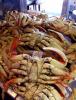 Cooked Dungeness Crabs, steamed, seafood, shellfish, FRBD01_143