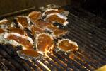 BBQ Oysters, Barbecue, FRBD02_019