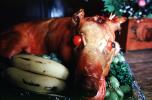 Pig Roast, The Ben Jonson, The Cannery, 6 December 1979, FRBV01P04_14