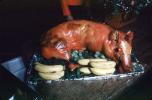 Pig Roast, The Ben Jonson, The Cannery, 6 December 1979
