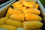 Corn on the Cob, Buffet, FRBV04P05_19.0951