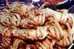 Cooked Dungeness Crabs, steamed, seafood, shellfish, Fishermans Wharf, FRBV05P15_18