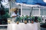 San Juan, Pineapples, hat, bar, parasol, Beach Hotel