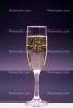 Sparkling, liquid, bubbles, champagne, bottle, glass, FTBV01P01_15