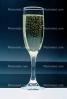 Sparkling, liquid, bubbles, champagne, bottle, glass, FTBV01P01_19