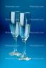Champagne Glass, empty, FTBV01P03_18.0952
