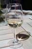 White Wine Glass, FTBV02P06_16
