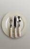 Plate, fork, spoon, knife, dinner setting, FTCV01P03_07B