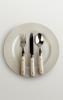 Plate, fork, spoon, knife, dinner setting, FTCV01P03_07C