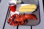 Lobster, Corn on the Cob, seafood, shellfish, beer, FTCV02P05_05