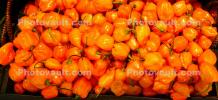 Bell Pepper, texture, background, FTFD01_002