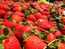 Strawberries, texture, background, FTFD01_016