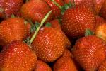 Strawberries, texture, background, FTFD01_038