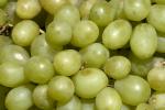 Grapes, texture, background, FTFD01_039