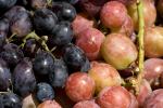 Grapes, texture, background, FTFD01_040