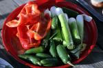 Bell Peppers, Chilis, Leeks, plate, FTFD01_064