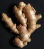 Ginger Root, FTFD01_096
