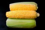 Corn-on-the-cob, FTFV01P02_04.0574B