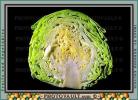 cabbage in half, FTFV01P02_18