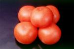Tomatoes, FTFV01P03_01