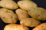 Potatoes, FTFV01P04_11.0952