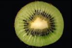 Kiwi Fruit, FTFV01P05_02.0574