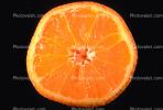 Tangerines, FTFV01P05_11.0952