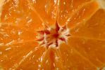 Tangerines, FTFV01P05_12.0952
