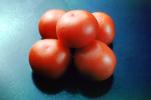 Tomatoes, FTFV01P06_08