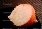 Onion layers