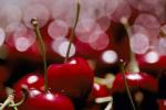 Cherries, texture, background, FTFV01P10_12.0953